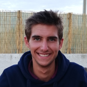Louis - Prof de maths - Paris