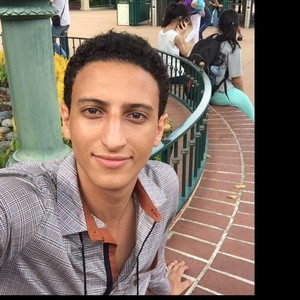 Hamza - Prof de maths - Gif-sur-Yvette