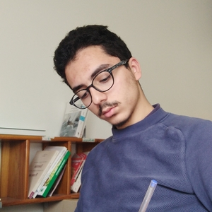 Jawed - Prof de maths - Villeneuve-d'Ascq
