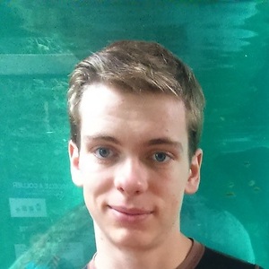 Nicolas - Prof de maths - Quéven