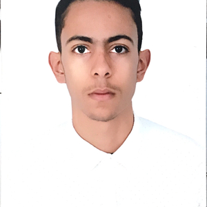 Mohamed Amine - Prof de maths - Famars