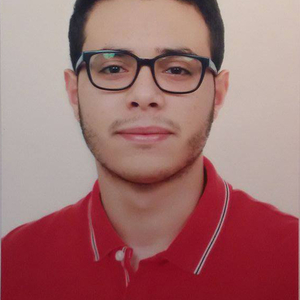 Alaa - Prof de maths - Puteaux