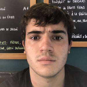 Alexis - Prof de maths - Nîmes
