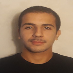 Roman - Prof de physique - chimie - Aulnay-sous-Bois