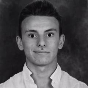 Diener - Prof de maths - Toulouse