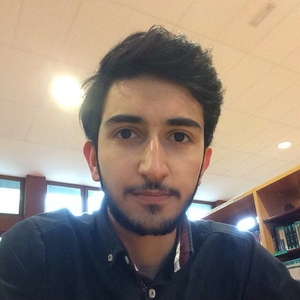 Amir - Prof de maths - Rennes