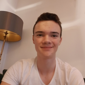 Quentin - Prof d'aide aux devoirs - Le Chesnay
