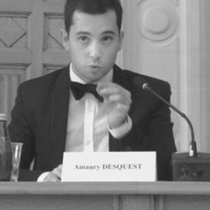Amaury - Prof de droit constitutionnel - Paris
