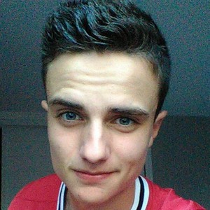 Raphaël - Prof de maths - Meyzieu