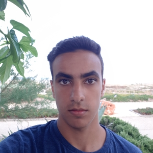 Anis - Prof de maths - Marseille