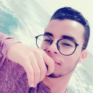 Mehdi - Prof d'anglais - Dunkerque