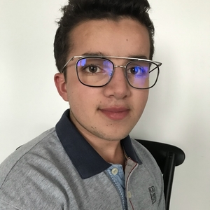 Alexis - Prof d'économie - Paris