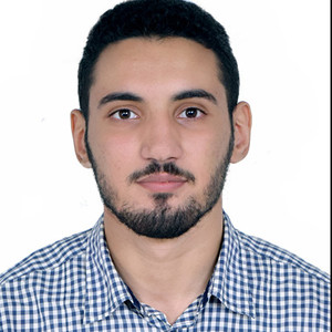 Ayman - Prof de maths - Paris