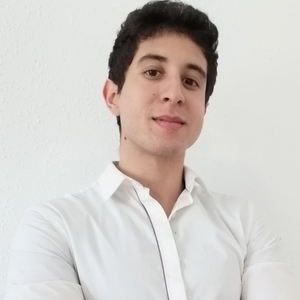 Mehdi - Prof de guitare - Montpellier