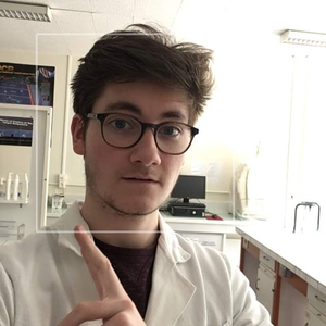 Loan - Prof de maths - Rennes