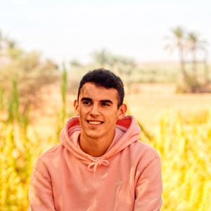 Victor - Prof de maths - Albi