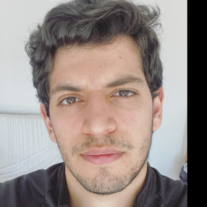 Mehdi - Prof d'anglais - Nantes