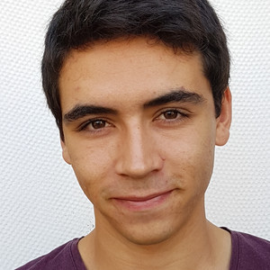 Romain - Prof de maths - Paris