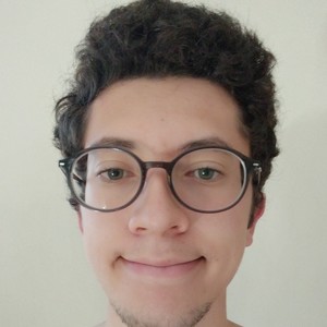 Léo - Prof d'initiation informatique - Brest