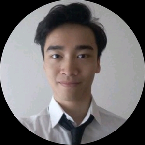 Emmanuel - Prof de C++ - Paris