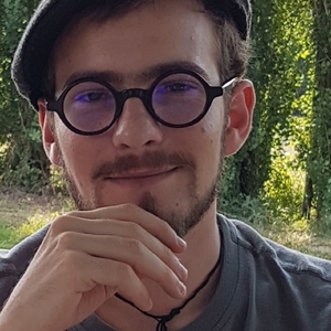 Tom - Prof de maths - Ramonville-Saint-Agne