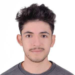Ziad - Prof de maths - Palaiseau