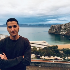 Mohammed-Amine - Prof d'anglais - Lognes