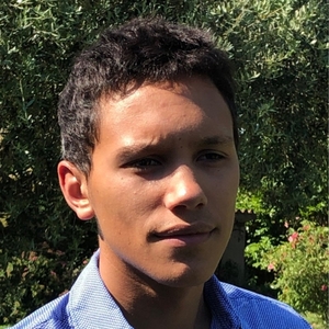 Romain - Prof de maths - Sceaux
