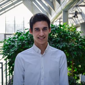 Alexis - Prof de maths - Limours