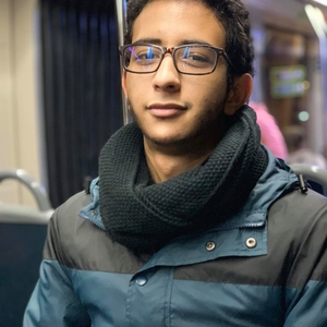 Farouk - Prof de maths - Valbonne (Sophia antipolis)