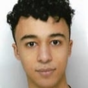Ziyad - Prof de maths - Brunoy