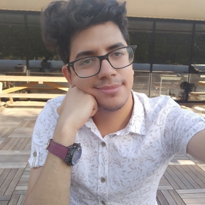 Hazem - Prof d'anglais - Noisy-le-Grand