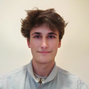 Merlin - Prof de maths - Paris