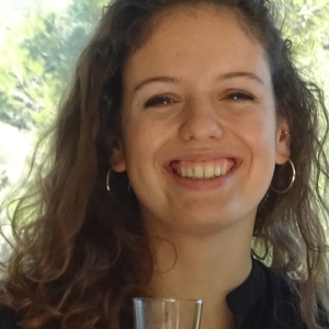 Lise - Prof de physique - chimie - Lyon