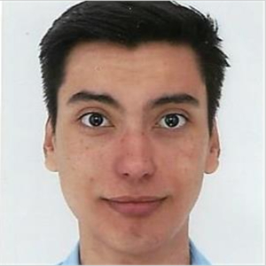 Alan - Prof de maths - Cambes