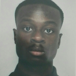 Brice - Prof de maths - Pierrefitte-sur-Seine