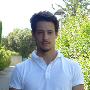 Laurent - Prof de maths - Montpellier
