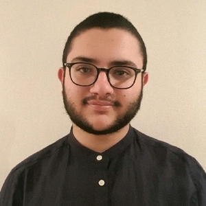Amine - Prof de maths - Toulouse