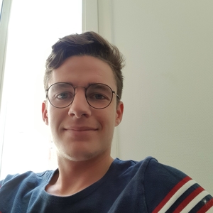 Maxime - Prof de maths - Montigny-le-Bretonneux