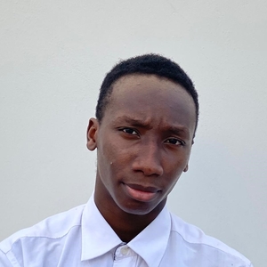 Elwin - Prof d'initiation informatique - Lyon 5e