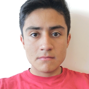 Omar - Prof de maths - Paris