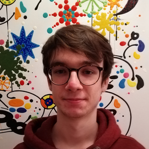 Bonnamour - Prof de maths - Lyon