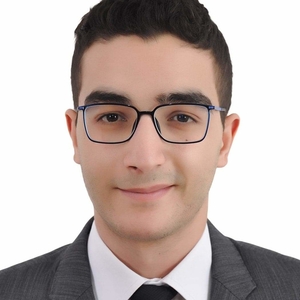 Walid - Prof de maths - Paris