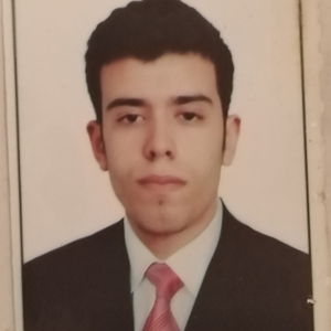 Hatim - Prof de maths - Champs-sur-Marne
