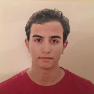 Hatem - Prof de maths - Toulouse