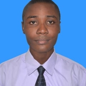 Kofi Mawufemo Steven - Prof de maths - Saint-Martin-d'Hères