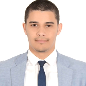 El Mehdi - Prof de maths - Lille