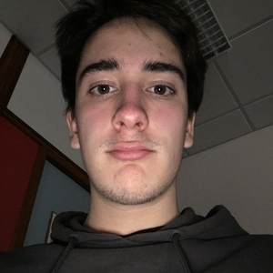 Louis - Prof d'initiation informatique - Geaune
