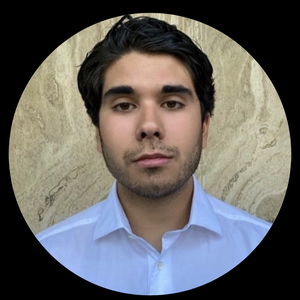 David - Prof de réseaux sociaux - Paris
