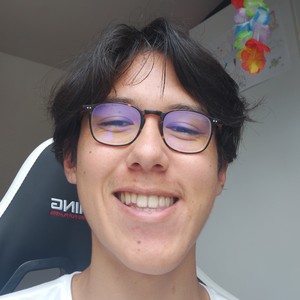 Matthieu - Prof de maths - Les Ponts-de-Cé